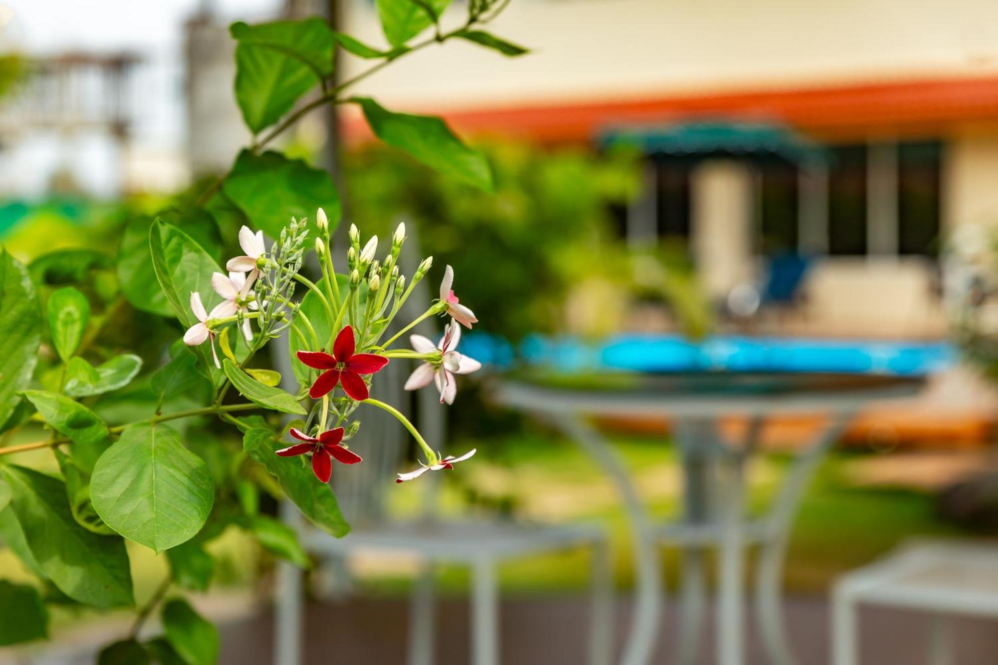 Casa Amora Lonavala Exteriér fotografie